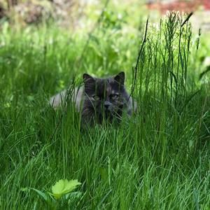 Meet your Posher, Agnès